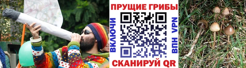 Псилоцибиновые грибы ЛСД  Муравленко 