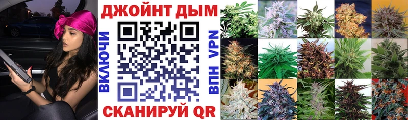 Канабис конопля  Муравленко 